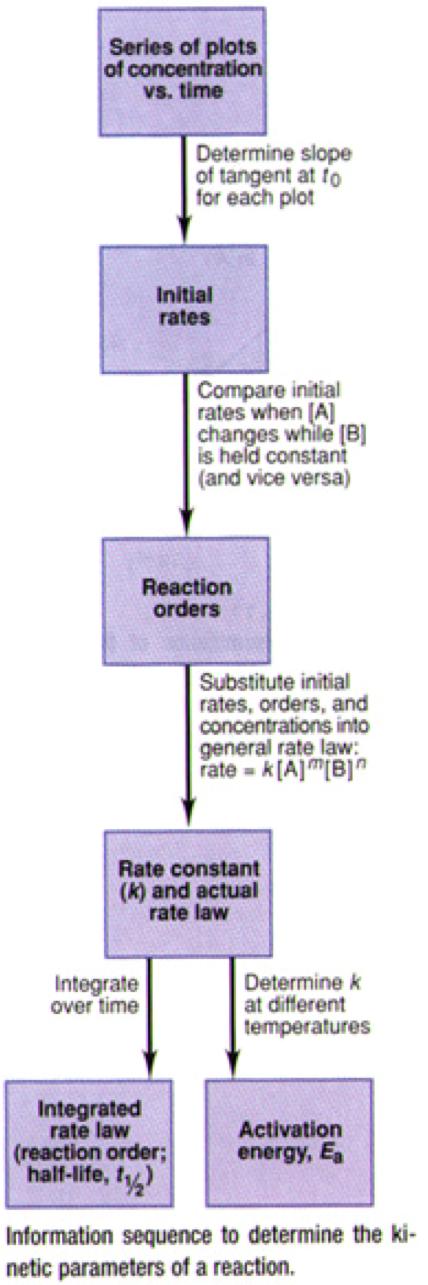energy of particle collision. Kinetics allows us to speculate about the molecular pathway of a reaction.