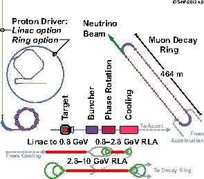 Figure 1. International Design Study baseline of a neutrino factory. Figure 2. Conceptual layout of a 1.5 6.0 TeV muon collider on the Fermilab site.