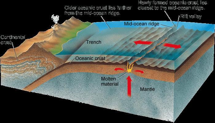 Subduction at Trenches In a process taking tens of millions of years, part of the ocean