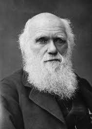 Charles Darwin Developed a scientific theory that explains how modern