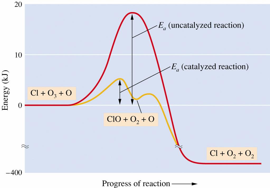 7. A generalization can be made: The experimentally determined reaction orders indicate the number of molecules of those reactants involved in; B. Catalysis. (Section 13.9) 1.