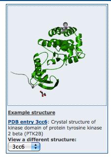 Pfam: Protein Y kinase domain