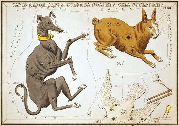 Canis Major The Dog Urania
