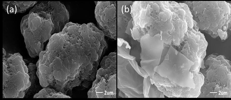 D. Wu1, G. Li1*, X.P. Yang1 Figure 1. SEM image of PA (a) and graphene-pa hydrides The surface morphologies of graphene-pa hybrids together, Fig.