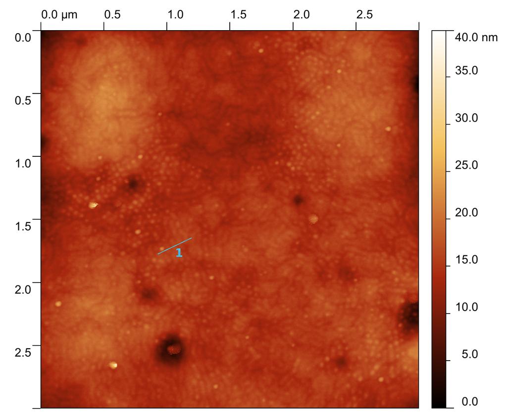 Figure 2: Atomic force micrograph recorded in tapping mode from PMMA- b-p4vp complexed with 37 wt-% of phenolic resin.