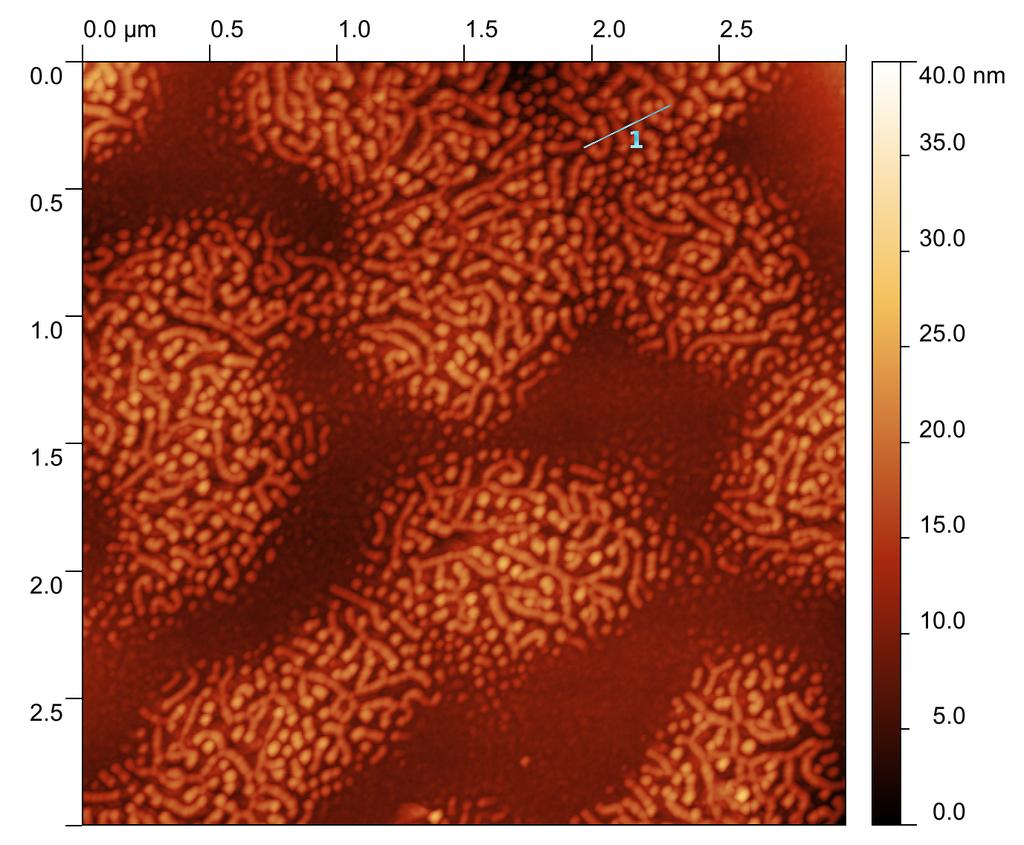 Figure 3: Atomic force micrograph recorded in tapping mode from PMMA- b-p4vp complexed with 37 wt-% of phenolic resin after temperature treatment.