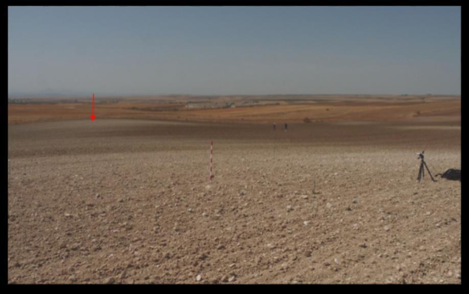 site in fallow (08.Aug.11) and with wheat cultivation (23.Mar.