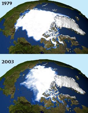 3. The cryosphere (frozen water) pack ice is the ice floating on the