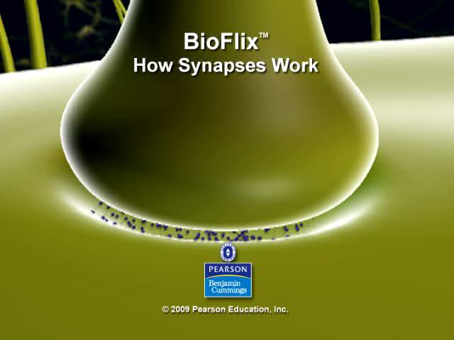 BioFlix: How