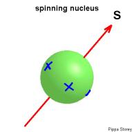 Nuclear Spin Nuclei consist of protons and neutrons, so are positively charged Nuclei with an odd number of protons and/or neutrons have intrinsic spin Spin is a fundamental property of nature like