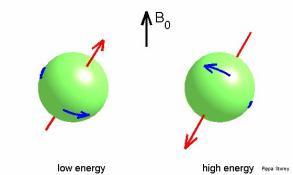 Each nucleus generates its own tiny magnetic field, and as it precesses, that magnetic field will oscillate at the Larmor frequency.