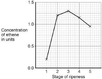 (c) Ethene is a plant hormone. Ethene causes fruit to ripen. Scientists measured the concentration of ethene found in fruit at different stages of ripeness. Figure 2 shows the results.