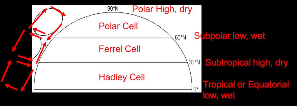 Three-Cell Model: Answer the following questions by writing/drawing on the diagram of the northern hemisphere. 39.