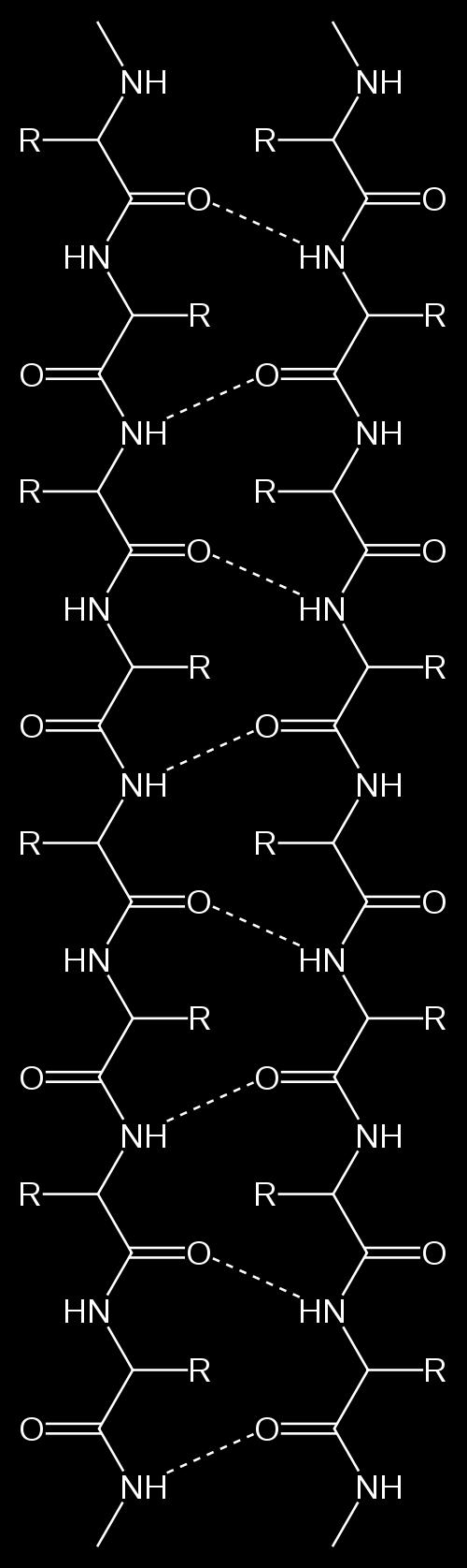 are held together by H bonds: There are two possible