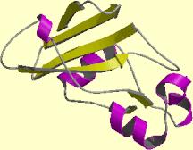 : Tryptophan synthase β subunit (2tsy) (4) A member of class α + β consists of segregated