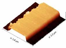 00 nn Supplementary Figure 2 AFM characterization of SLB formation on the Pd contact, (a) Tapping mode AFM image of a naked