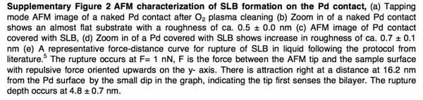 7 ± 0.1 nm (e) A representative force-distance curve for rupture of SLB in liquid following the protocol from literature.