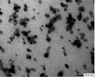 aggregated nanoparticles with diameter of 8 nm.