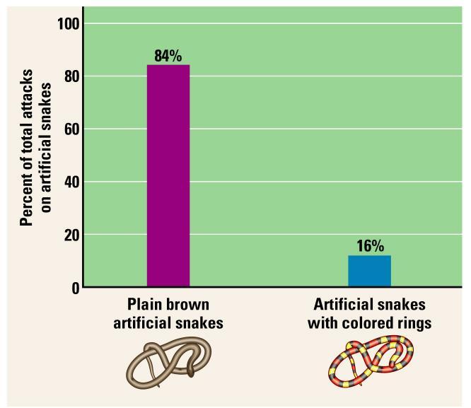 Interpreting Data Quiz Question 7 A team of scientists designed an investigation that used artificial snakes to test the previous hypotheses.