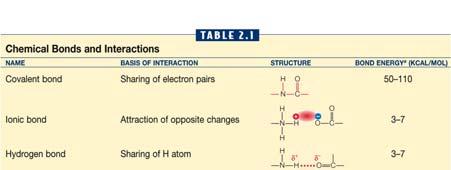 atoms (O or N) weak electrostatic bonds easily broken Very