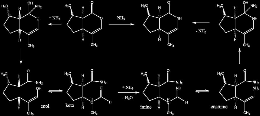 ) Nepetalactone Initial Product of Hydrolysis Final Product of Hydrolysis (d) The reaction of nepetalactone