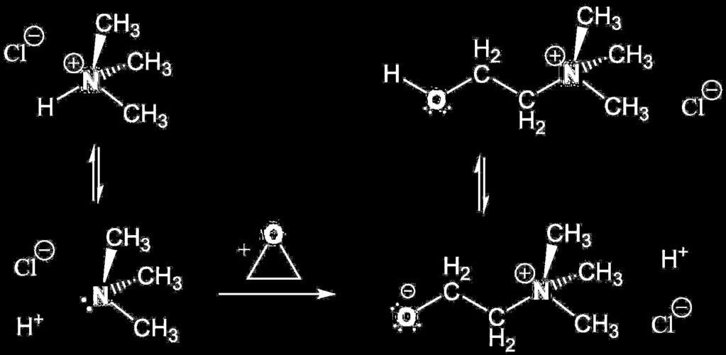 Question 4. Amines and Ammonium Ions. (20 points) (a) For each of the two amine syntheses, draw the structures of the substrates X and Y.