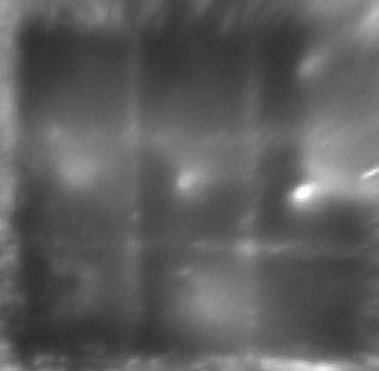 These images were taken by the CCD video camera (30 frames/sec) through an ND filter, a band-pass filter and a convex lens to obtain a magnification by 30 times.