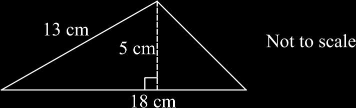 19 Who is the eldest of the three children shown? 20 Determine the area of the following triangle.