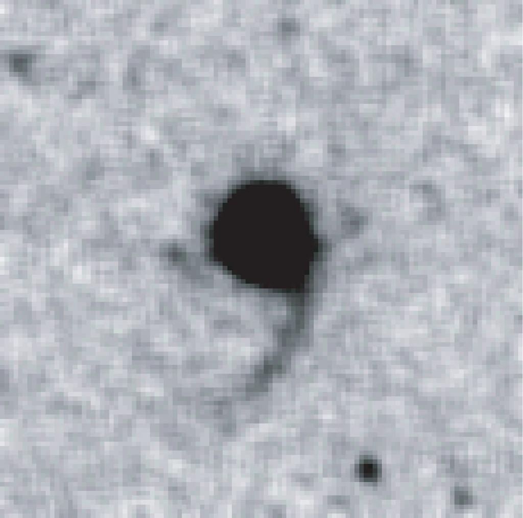 non-smoothed) features. The double nucleus and tidal tails are clear signatures of an ongoing merger. The PA 0 and PA 60 slits are indicated with red dashed lines.