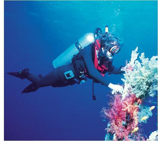 Depth (ft) Chemistry in Action: Scuba Diving and