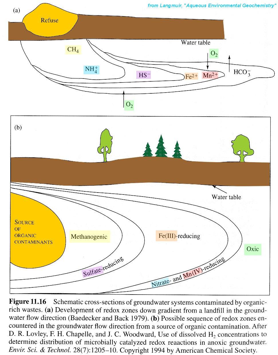 Redox Ladder transformations by Chemoautotrophs in polluted Environments: GROUNDWATER: Groundwater near a source of high BOD waste (such as beneath a municipal landfill)