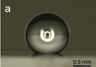 substrate. Therefore, the problem here is the driving force of water intrusion into the film-substrate interface. Fig. 5. (a) Typical picture of a water drop positioned on the surface of VA-SWNT film.