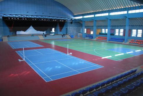 Multi-Activity and Multi-Sports Fully Compliant with EN 14904 Standards For Indoor Sports Floors Reduces Player Fatigue and Injury Low Lifecycle /