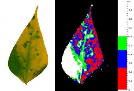 , 2012) 2 Improve experimental measurements : Multi-modal imaging : RGB,