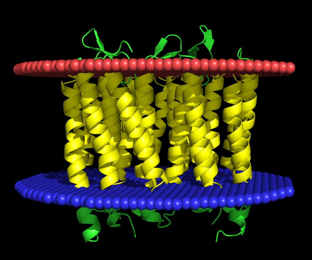 Dataset Transmembrane