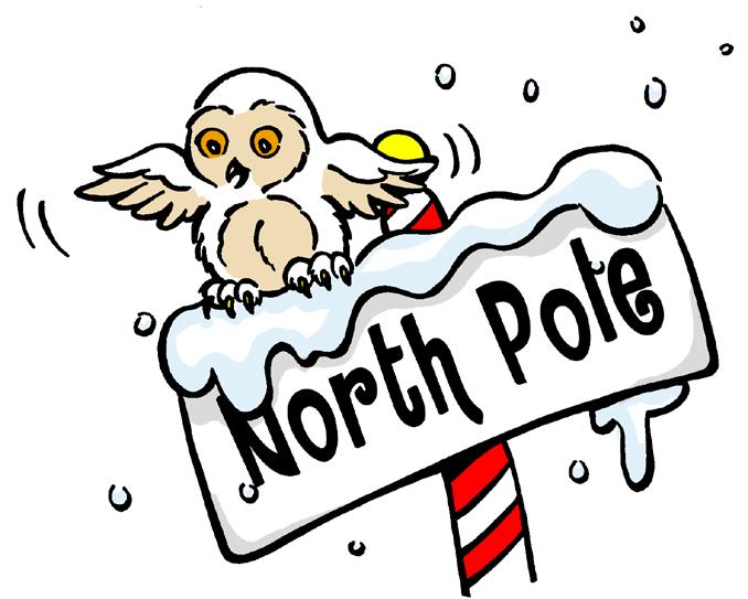 The kids turned around and saw a snowy, white owl. She was sitting on top of the North Pole. Yes! Yes! Ask her, said Tommy.