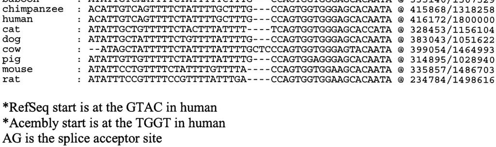 We compared the alignment generated by LAGAN and CLUSTALW for the first intron of the cmet gene in eight mammalian