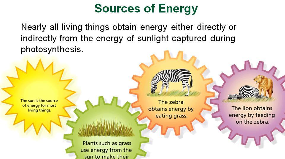 PHOTOSYNTHESIS= THE PROCESS WHICH PLANTS MAKE FOOD.