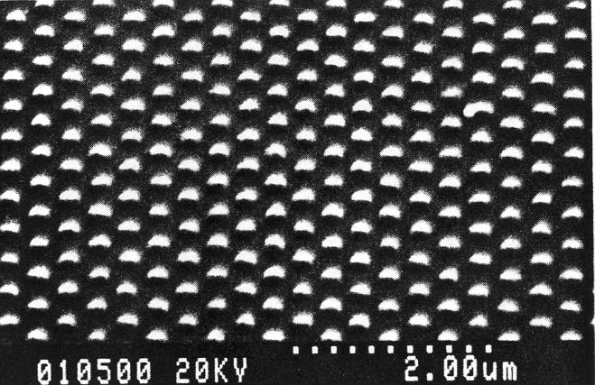 D Metallo-dielectric Photonic Crystals Full photonic bandgap for SPPs Hexagonal array of metallic dots metal glass 300 nm 300 nm Scanning Electron Microscopy image (tilted)