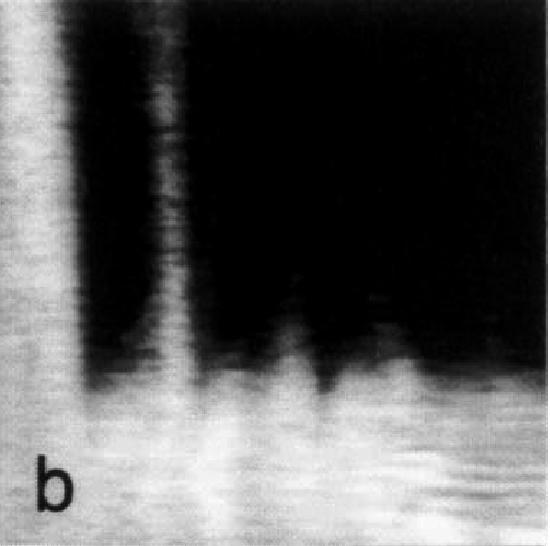 Near-field Optical Microscopy image Dot spacing: d = 380 nm Excitation: