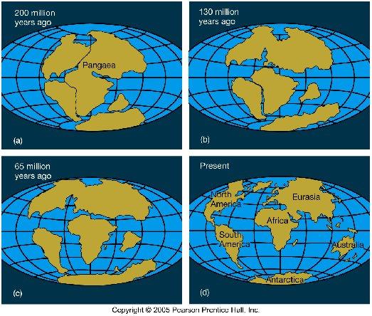 Geological and fossil evidence tells us that the continents have moved great distances over time Continental Drift This is enough time for the continents to have