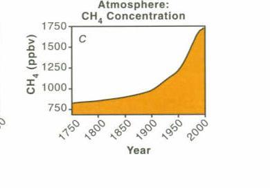 Increase in atmospheric methane (CH 4 )