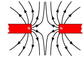 The lines are orientated S to N inside the magnet and N to S outside the magnet.