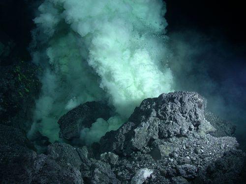 Deep Ocean Life no photosynthesis means no oxygen so CO 2 accumulates