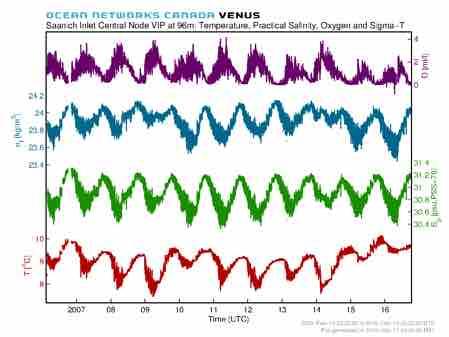 La Niña Warm Blob + El Niño OCEAN MONITORING: THE WARM BLOB CASE Weak 2013/2014 downwelling evident on shelf at