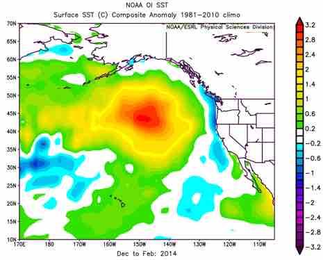 THE WARM BLOB From early 2014 through late 2015 an intense Sea Surface Temperature