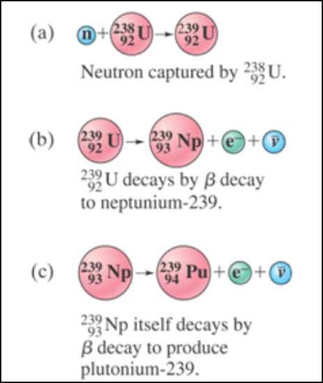 Nuclear Reactions and Transmutation of Elements Since energy is conserved, Q is equal to the change in kinetic energy: Q = KE b + KE Y - KE a - KE X Slide 22 / 33 If Q is positive, the products have