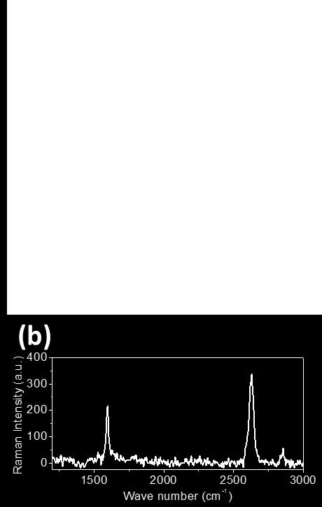 The Raman spectrum was taken at the indicated spot in (a).