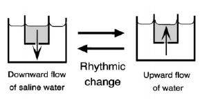 system with complex dynamics