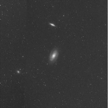Stars and Gas M81
